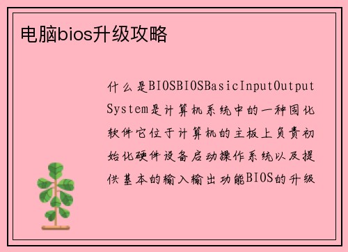 电脑bios升级攻略